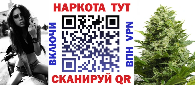 LSD-25 Кингисепп