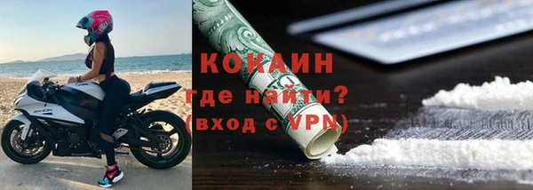 спиды Гусев