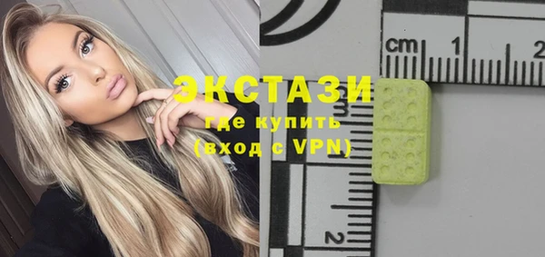 индика Гусиноозёрск