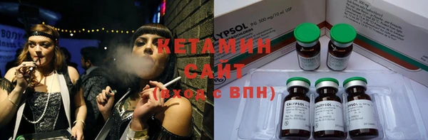 индика Гусиноозёрск