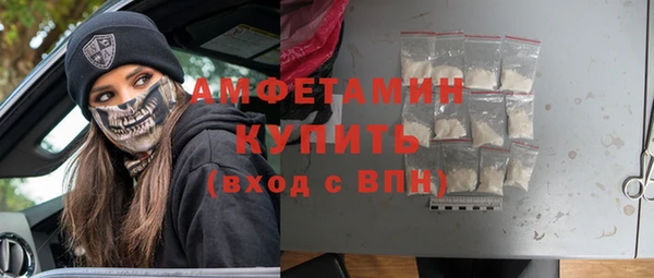 индика Гусиноозёрск