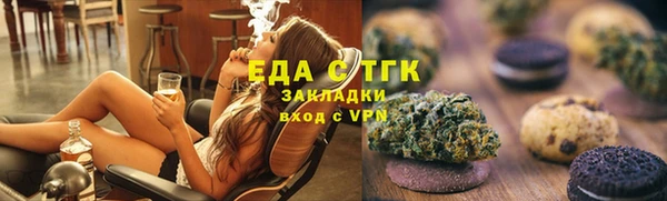 индика Гусиноозёрск