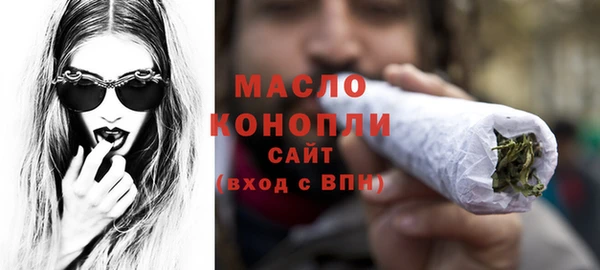 индика Гусиноозёрск
