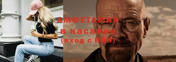 индика Гусиноозёрск