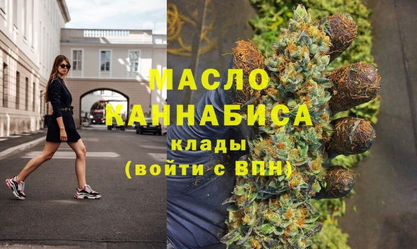 индика Гусиноозёрск