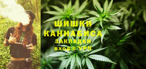 индика Гусиноозёрск