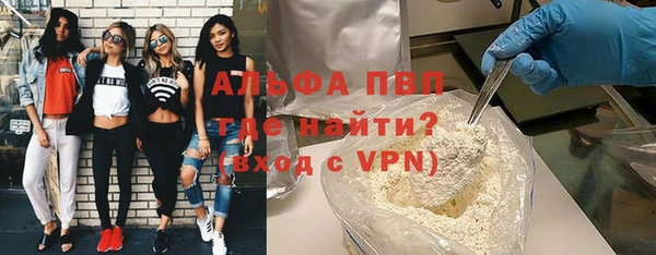 индика Гусиноозёрск