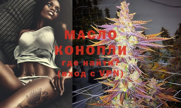 индика Гусиноозёрск