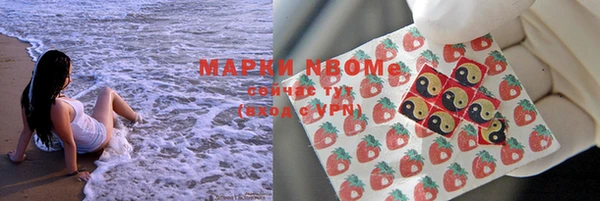 спиды Гусев