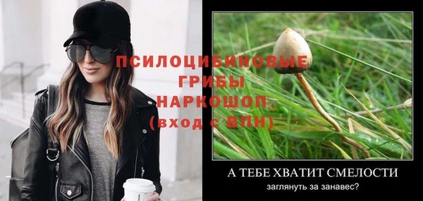 спиды Гусев