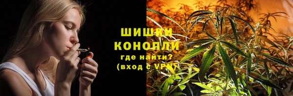 индика Гусиноозёрск