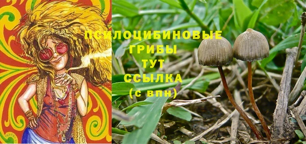 спиды Гусев