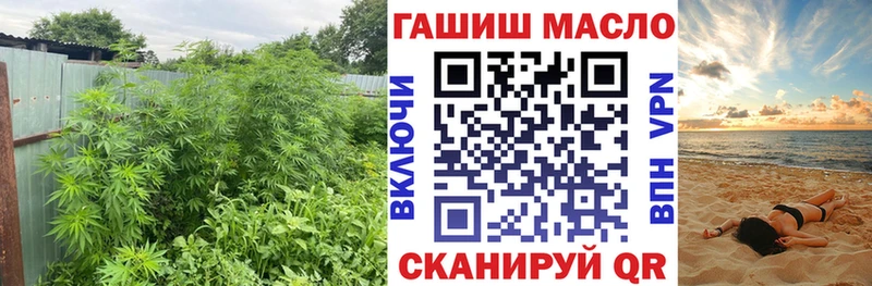 Дистиллят ТГК Wax  Купить где  Кингисепп 